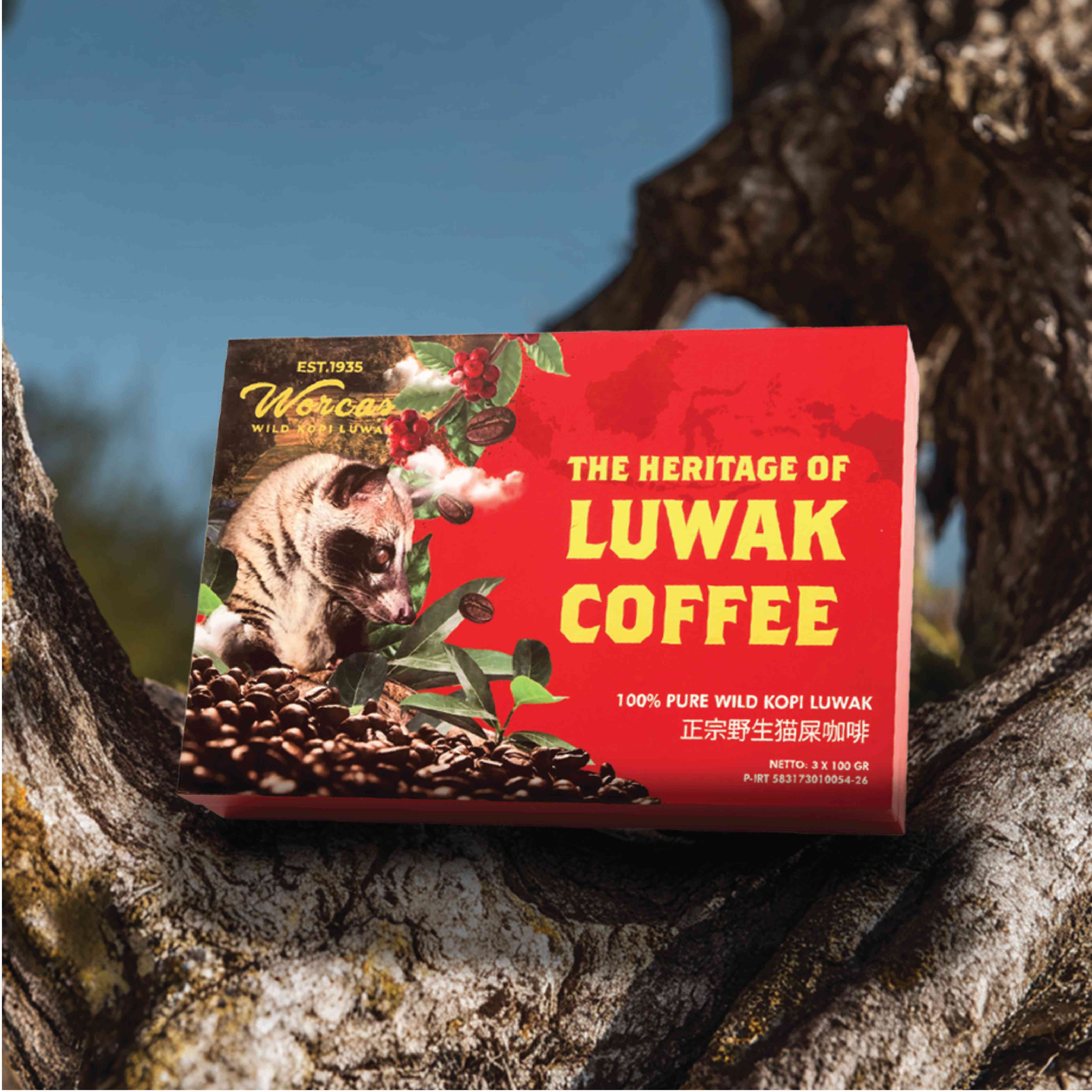 kopiluwak